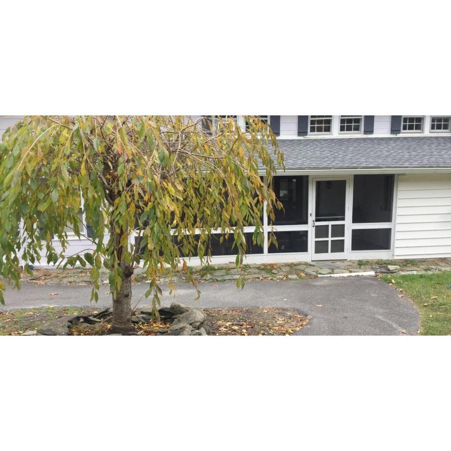 Camping Interlake Rv Park &